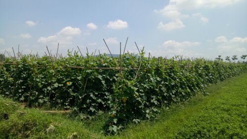 IMG20180523104605.jpg